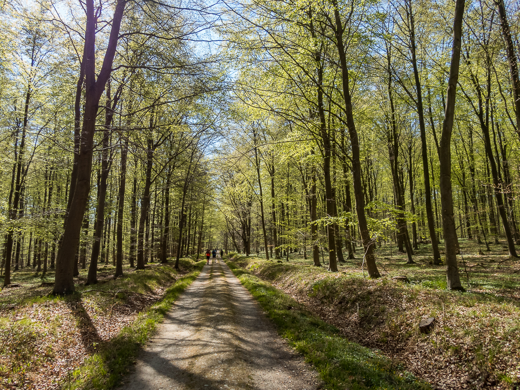 LbeMagasinet Rudersdal Marathon 2019 - Tor Rnnow