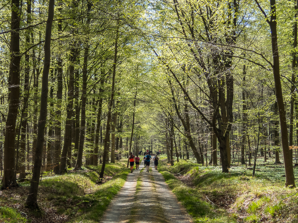 LbeMagasinet Rudersdal Marathon 2019 - Tor Rnnow