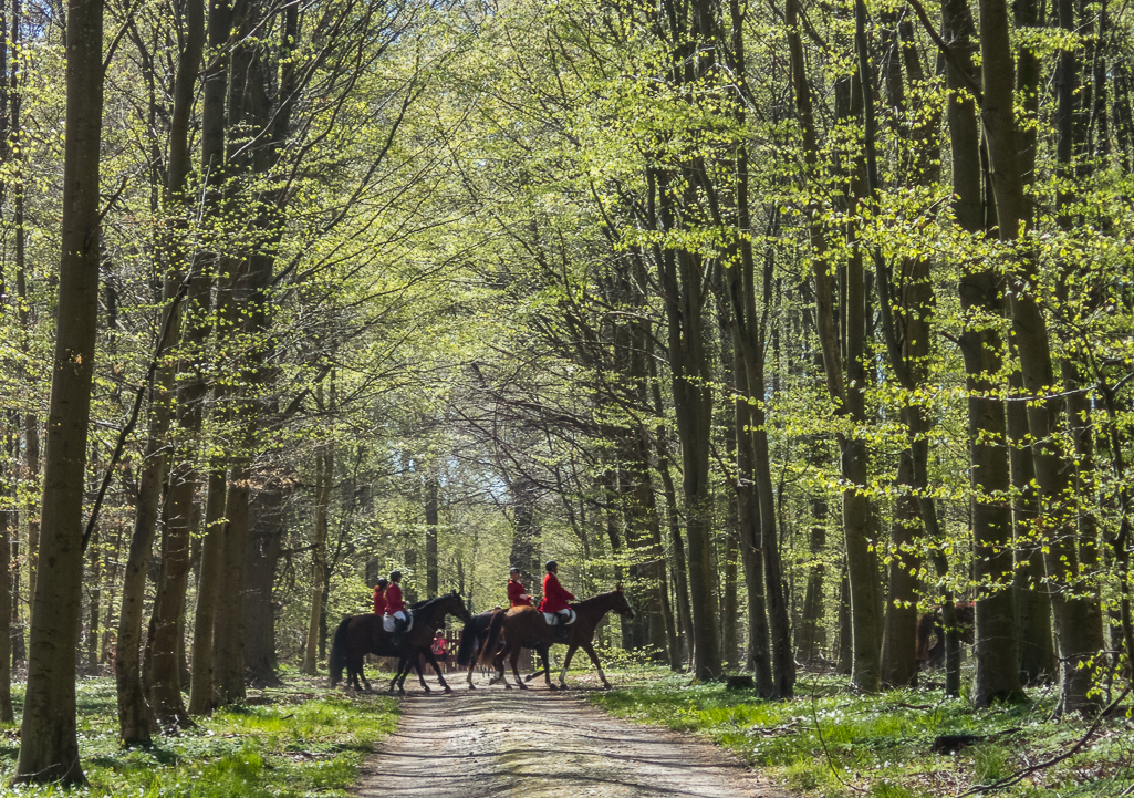 LbeMagasinet Rudersdal Marathon 2019 - Tor Rnnow