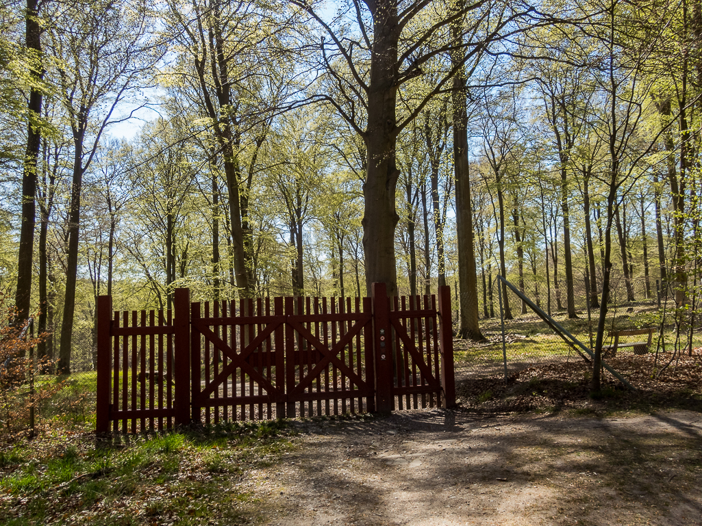 LbeMagasinet Rudersdal Marathon 2019 - Tor Rnnow