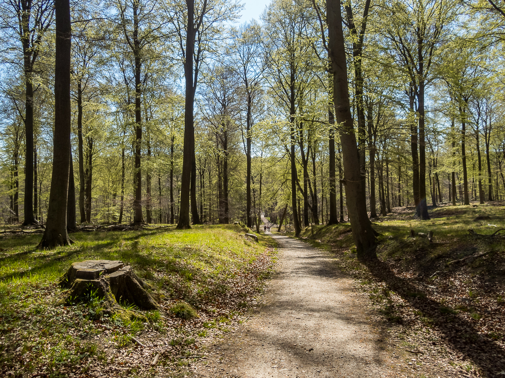 LbeMagasinet Rudersdal Marathon 2019 - Tor Rnnow