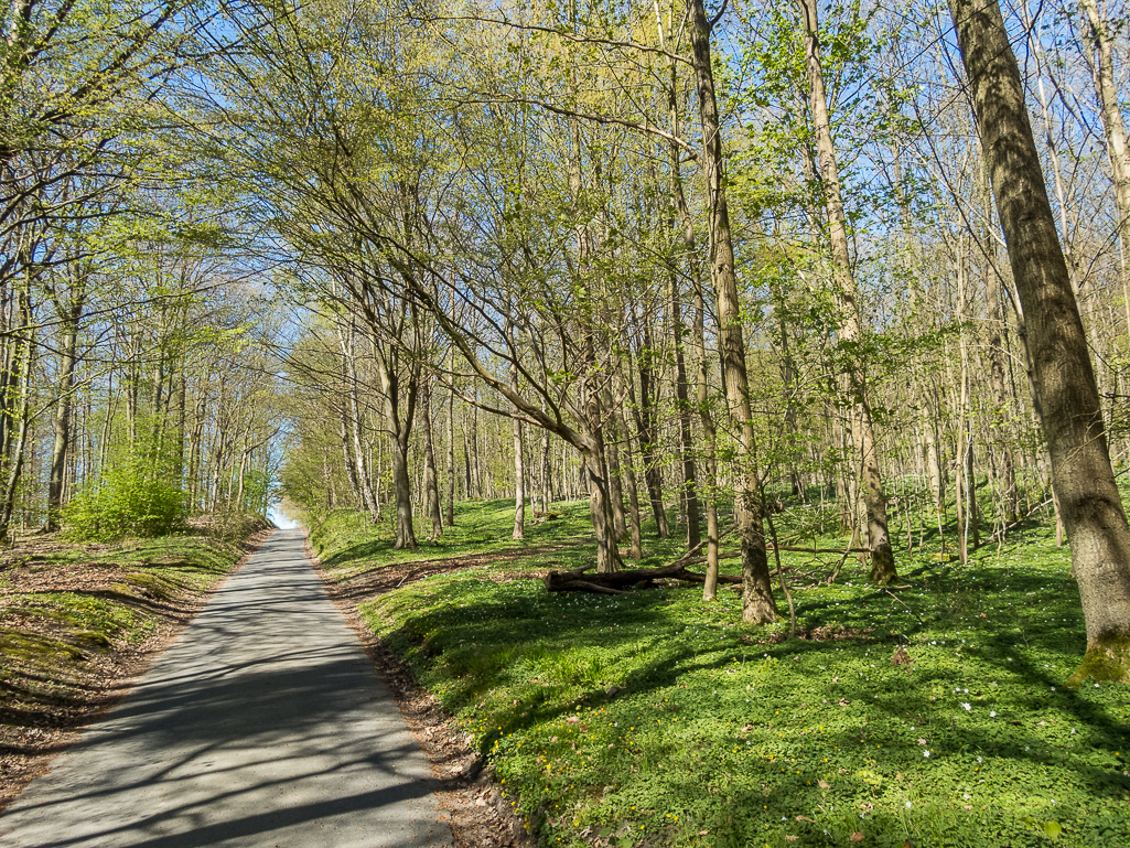 LbeMagasinet Rudersdal Marathon 2019 - Tor Rnnow