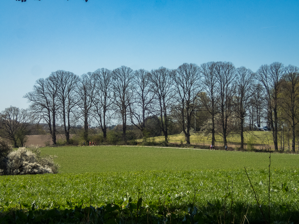 LbeMagasinet Rudersdal Marathon 2019 - Tor Rnnow