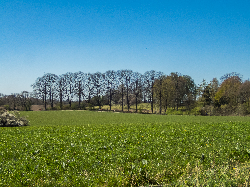 LbeMagasinet Rudersdal Marathon 2019 - Tor Rnnow