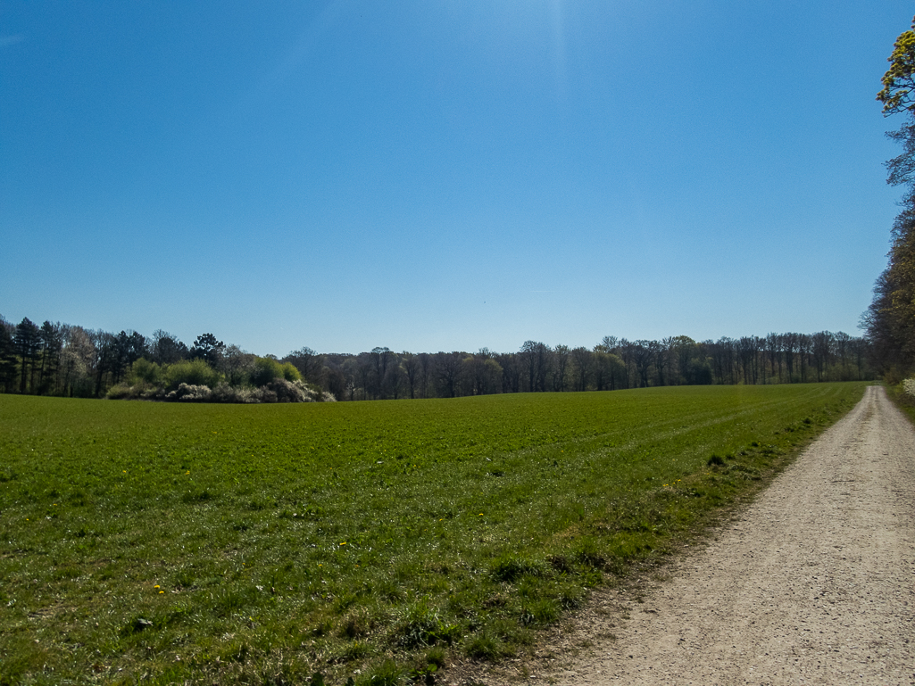 LbeMagasinet Rudersdal Marathon 2019 - Tor Rnnow