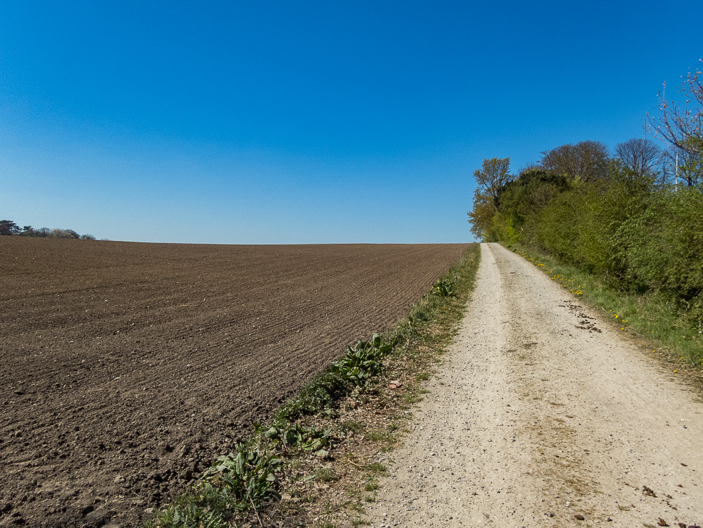 LbeMagasinet Rudersdal Marathon 2019 - Tor Rnnow