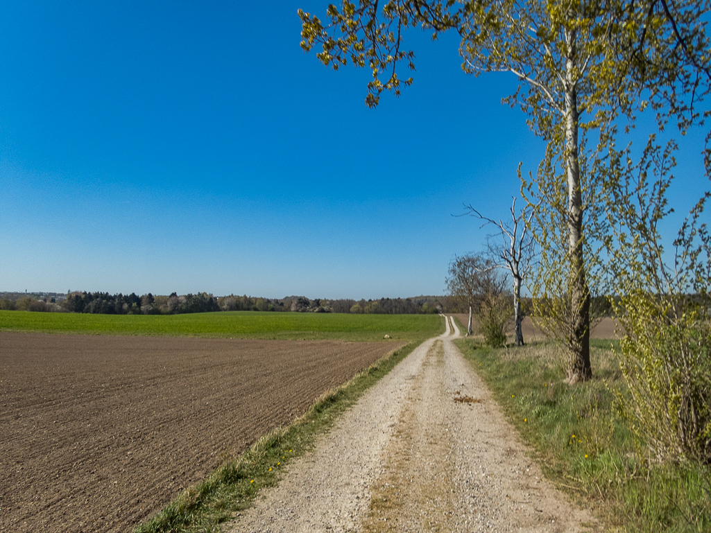 LbeMagasinet Rudersdal Marathon 2019 - Tor Rnnow