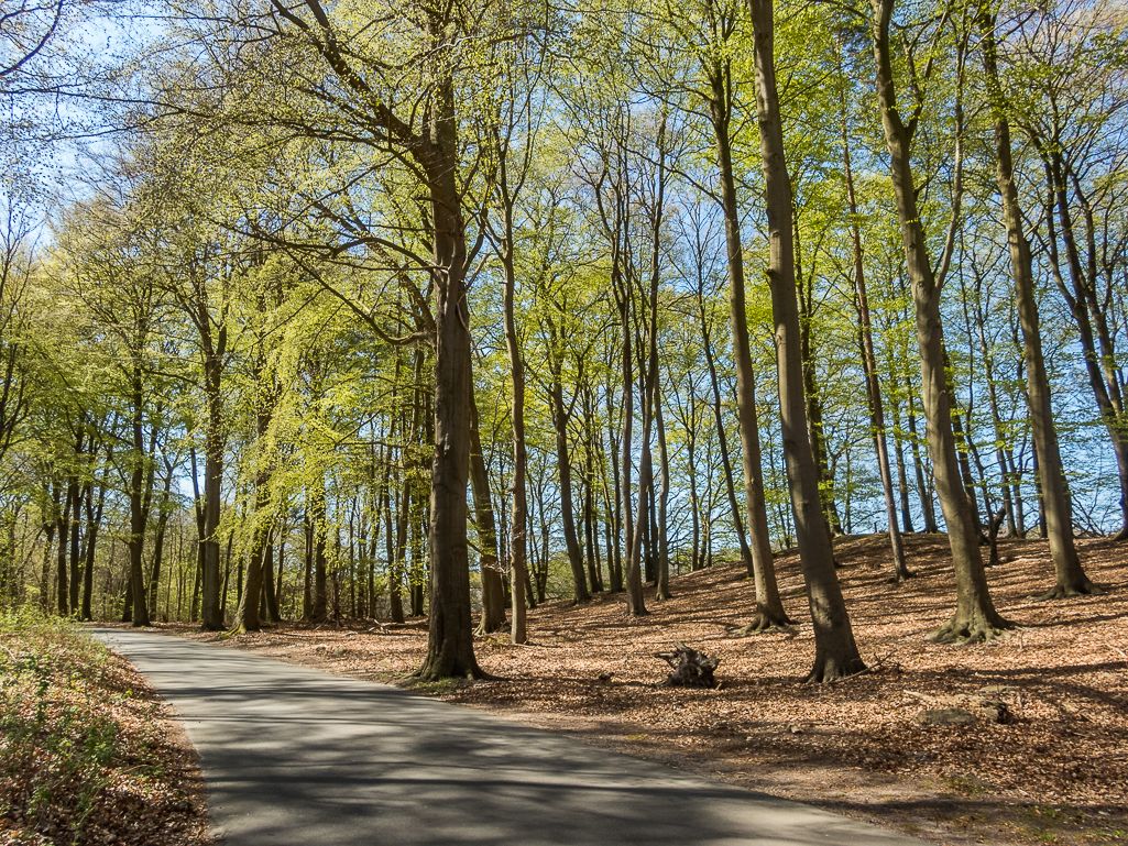 LbeMagasinet Rudersdal Marathon 2019 - Tor Rnnow