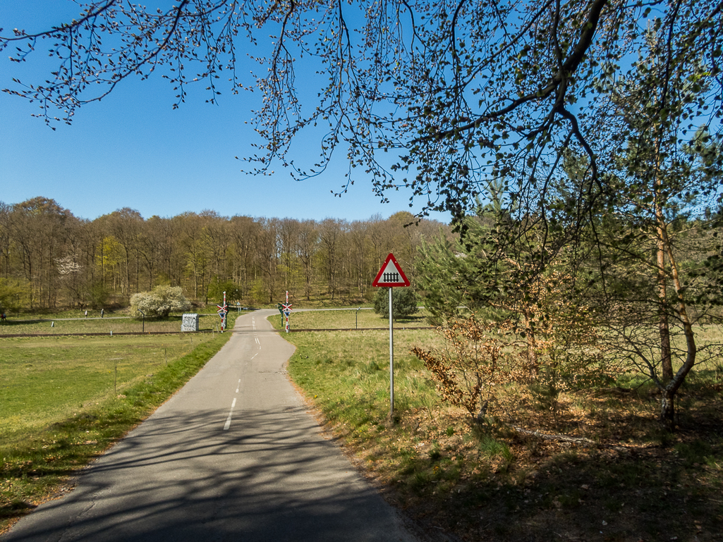 LbeMagasinet Rudersdal Marathon 2019 - Tor Rnnow