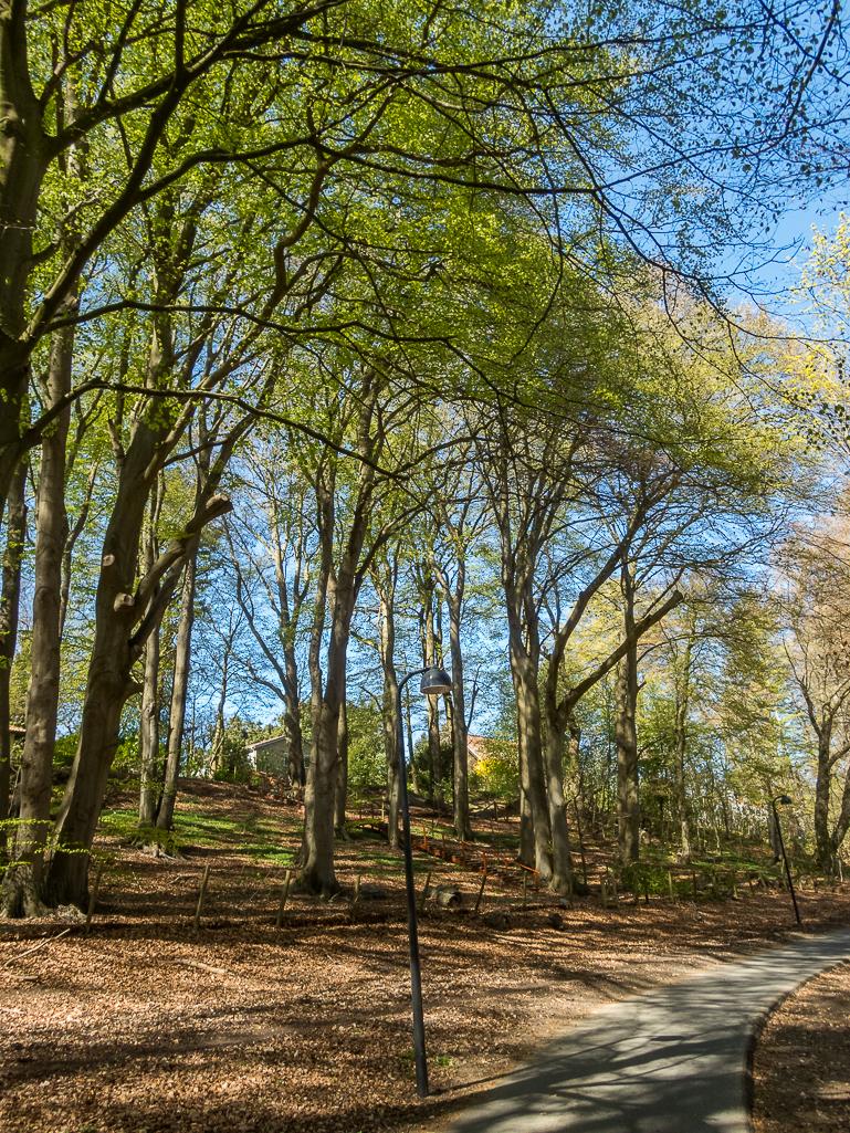 LbeMagasinet Rudersdal Marathon 2019 - Tor Rnnow