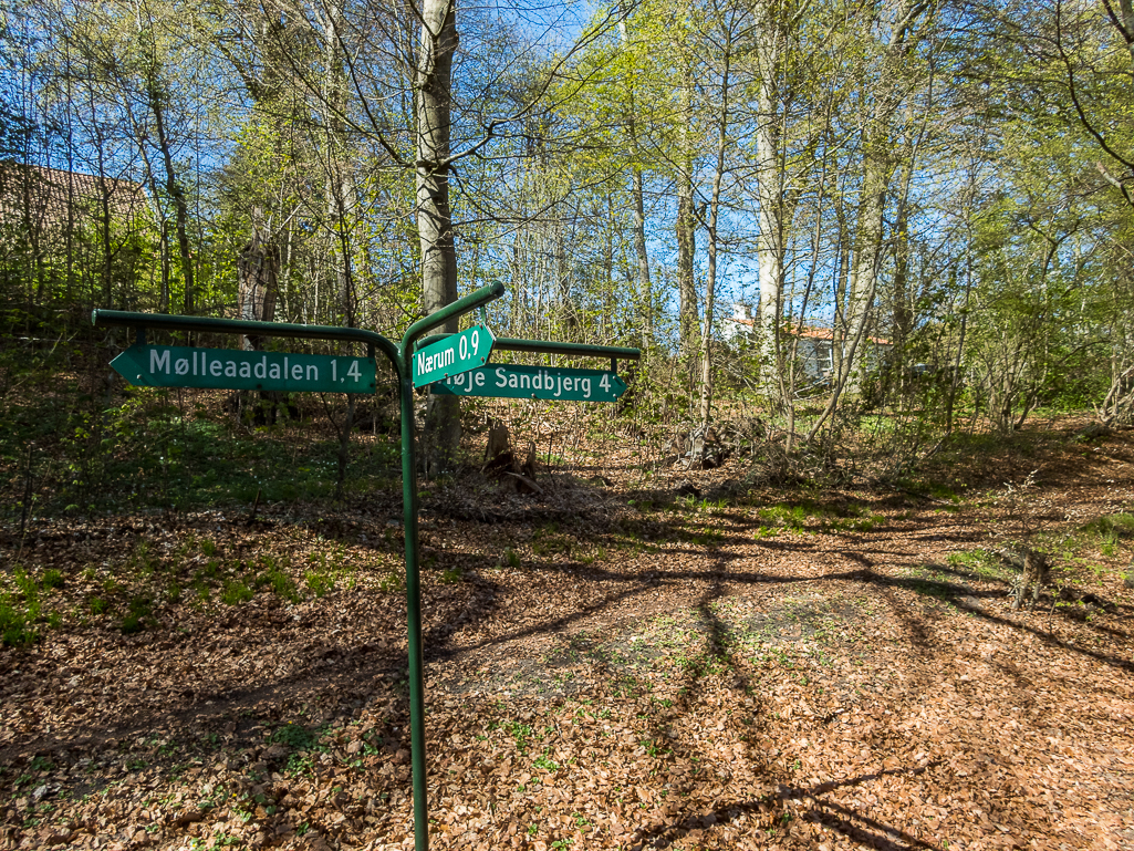 LbeMagasinet Rudersdal Marathon 2019 - Tor Rnnow