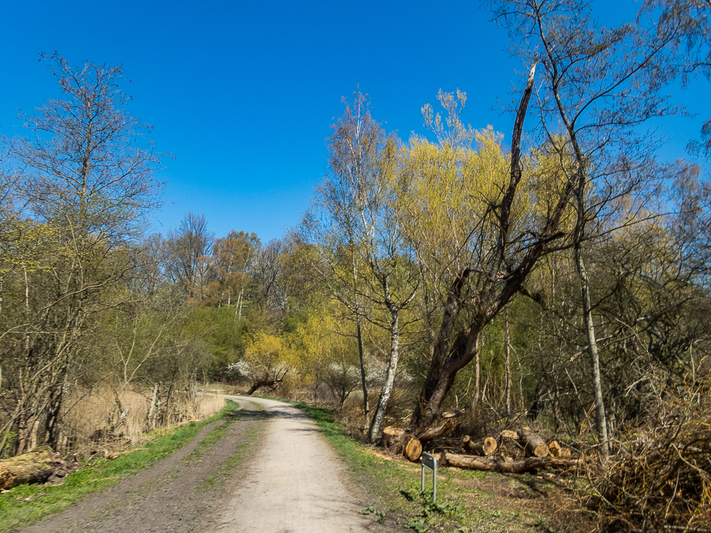 LbeMagasinet Rudersdal Marathon 2019 - Tor Rnnow