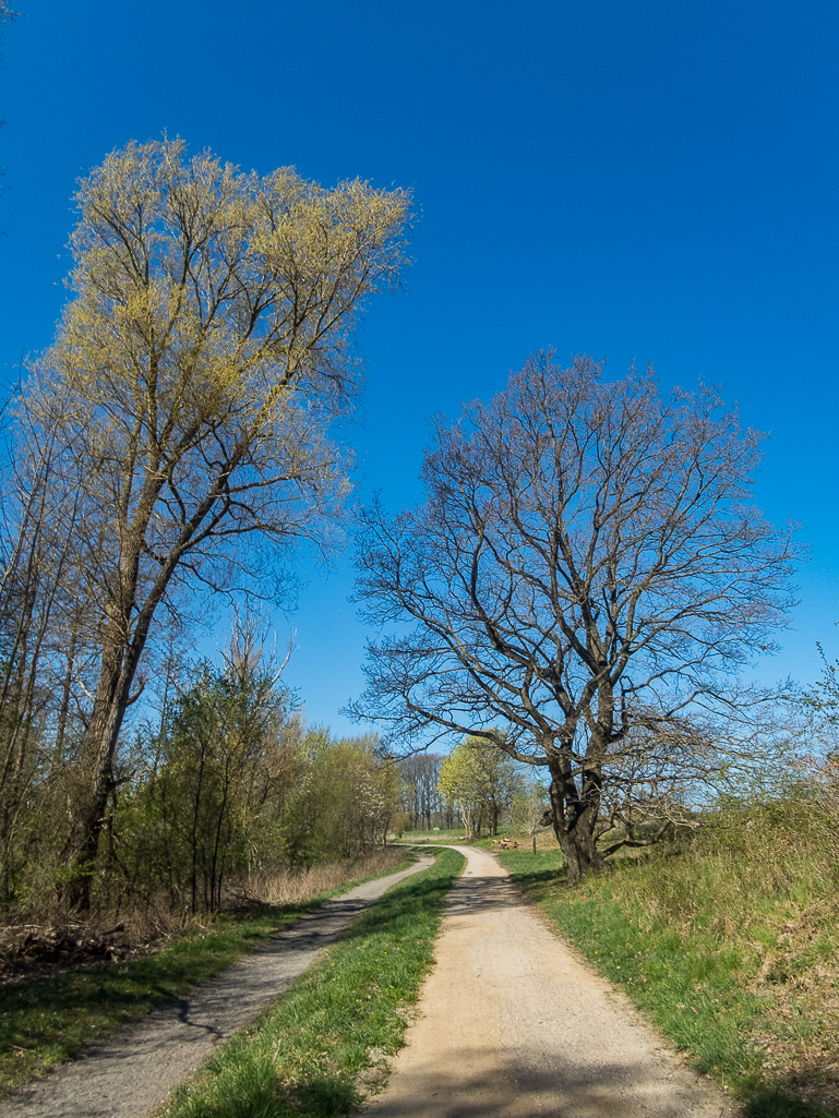 LbeMagasinet Rudersdal Marathon 2019 - Tor Rnnow