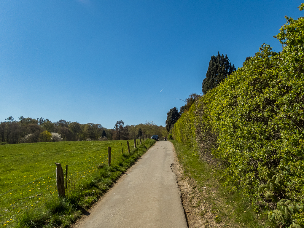 LbeMagasinet Rudersdal Marathon 2019 - Tor Rnnow