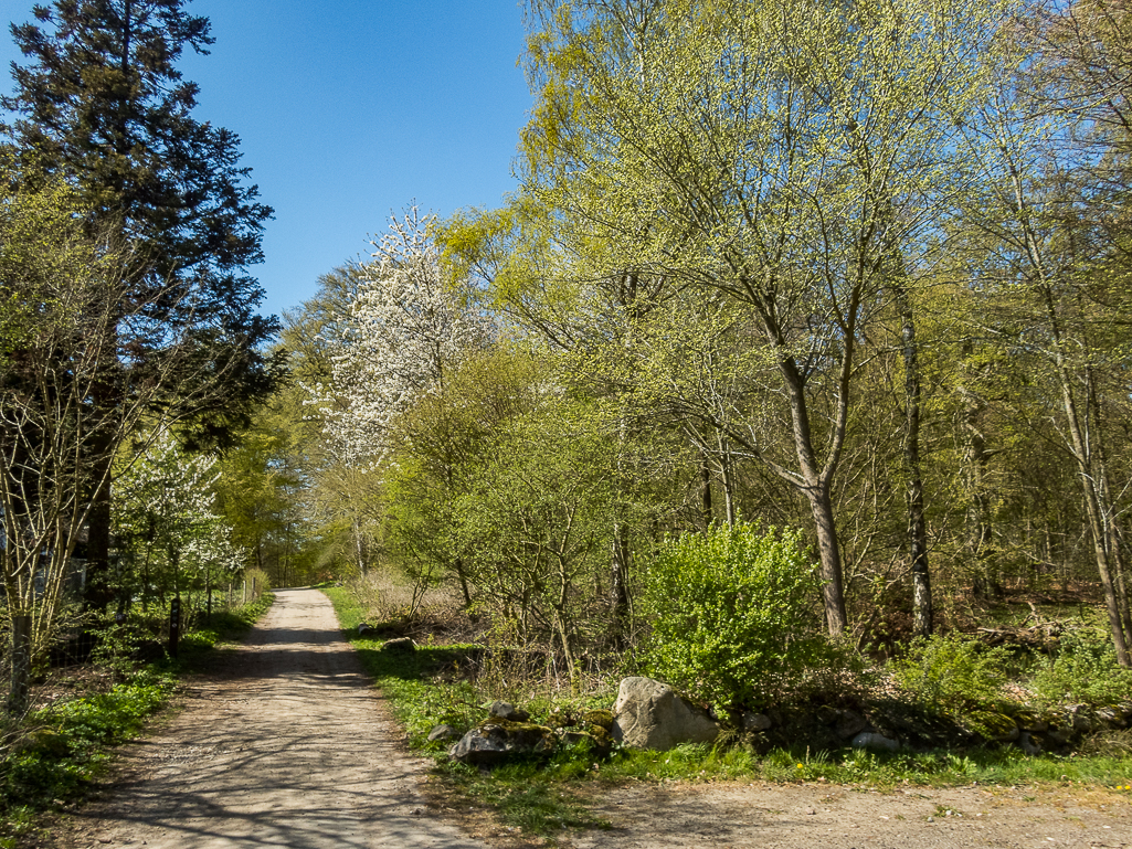 LbeMagasinet Rudersdal Marathon 2019 - Tor Rnnow