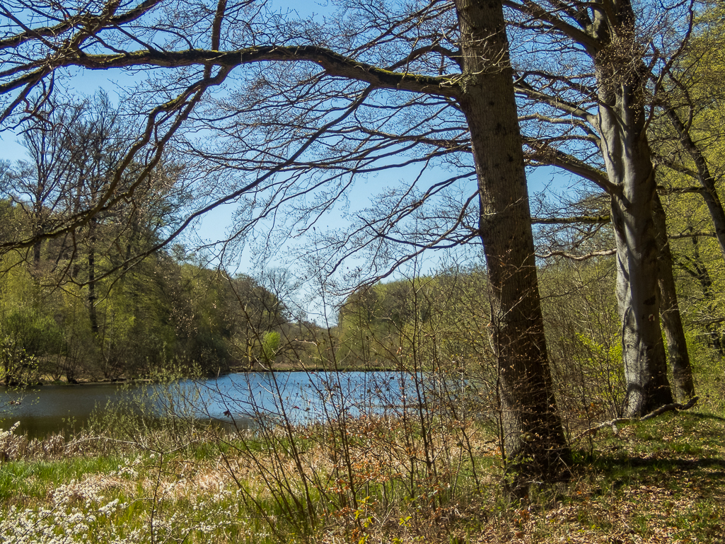 LbeMagasinet Rudersdal Marathon 2019 - Tor Rnnow