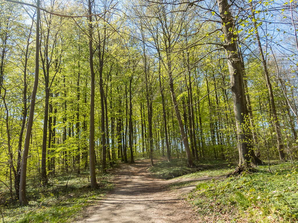 LbeMagasinet Rudersdal Marathon 2019 - Tor Rnnow