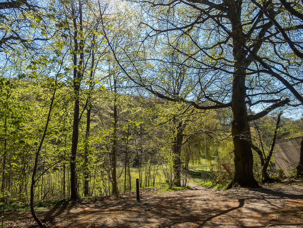 LbeMagasinet Rudersdal Marathon 2019 - Tor Rnnow