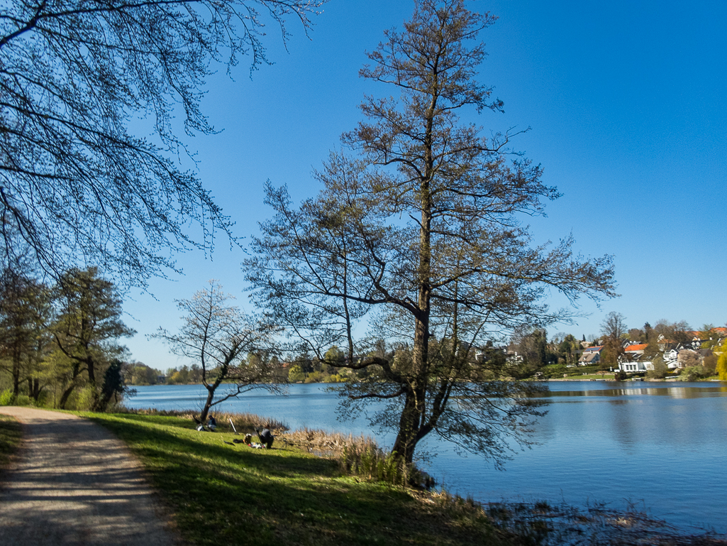 LbeMagasinet Rudersdal Marathon 2019 - Tor Rnnow