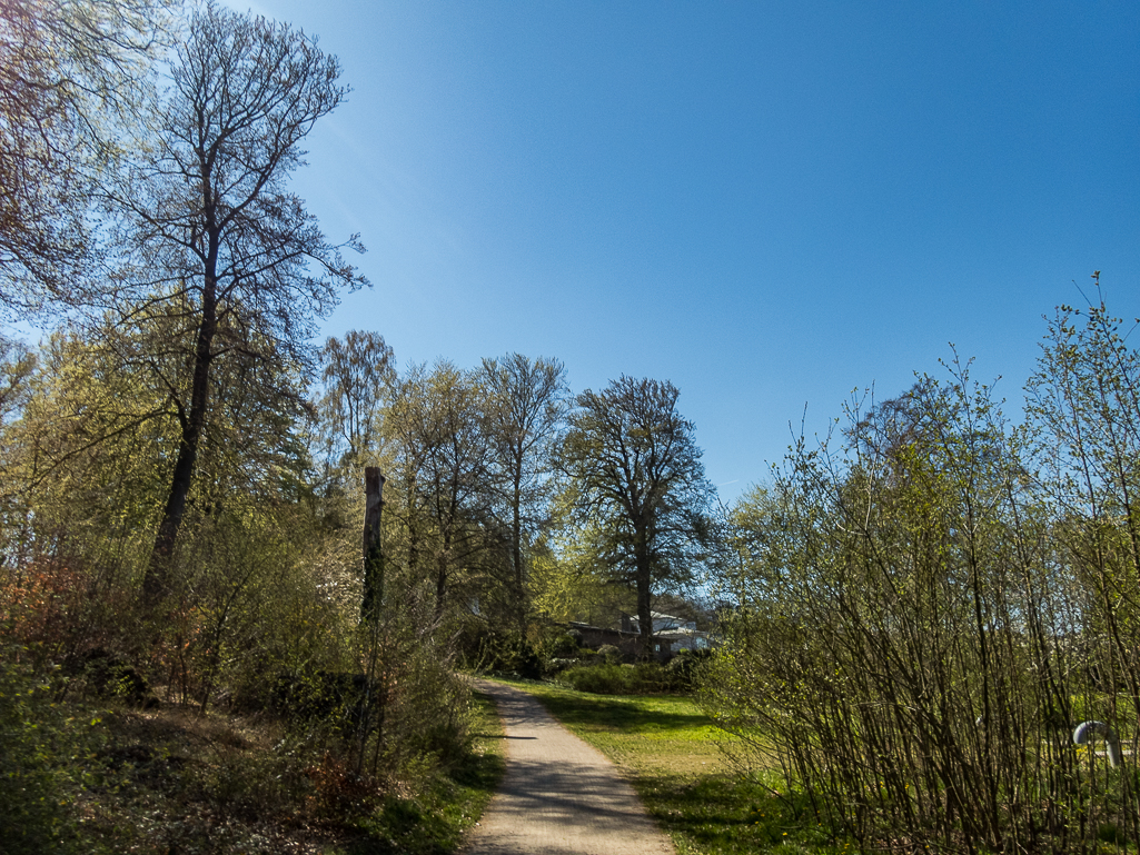 LbeMagasinet Rudersdal Marathon 2019 - Tor Rnnow