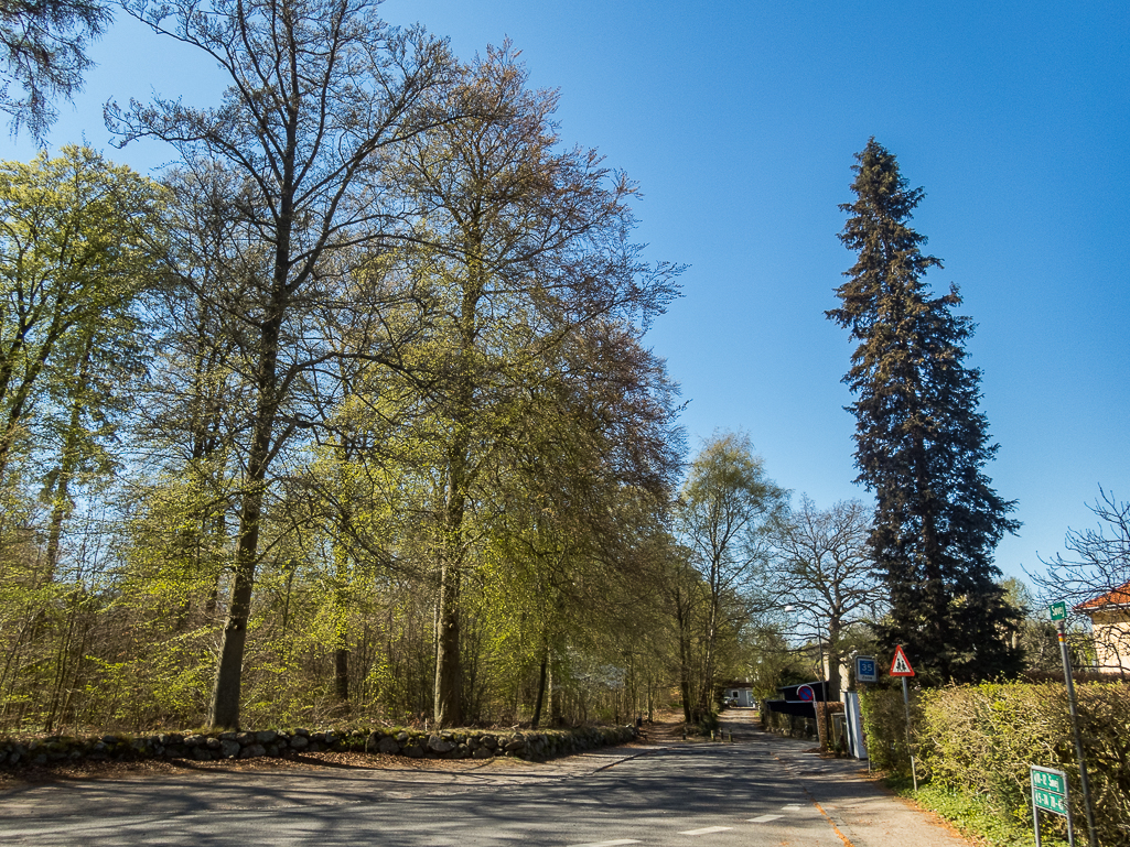 LbeMagasinet Rudersdal Marathon 2019 - Tor Rnnow