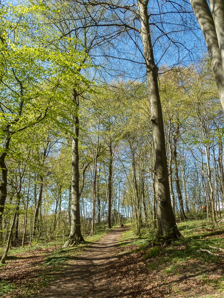 LbeMagasinet Rudersdal Marathon 2019 - Tor Rnnow