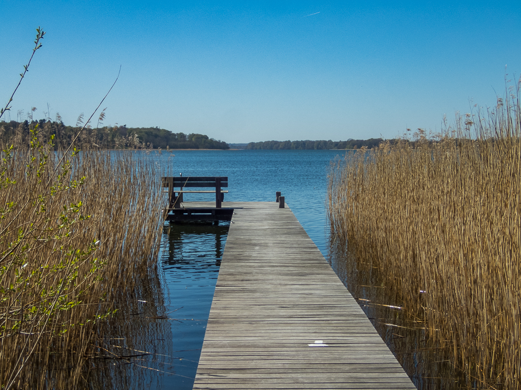 LbeMagasinet Rudersdal Marathon 2019 - Tor Rnnow