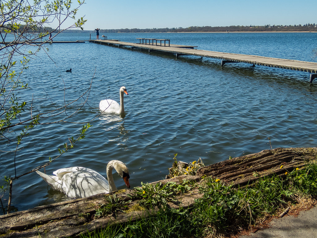 LbeMagasinet Rudersdal Marathon 2019 - Tor Rnnow