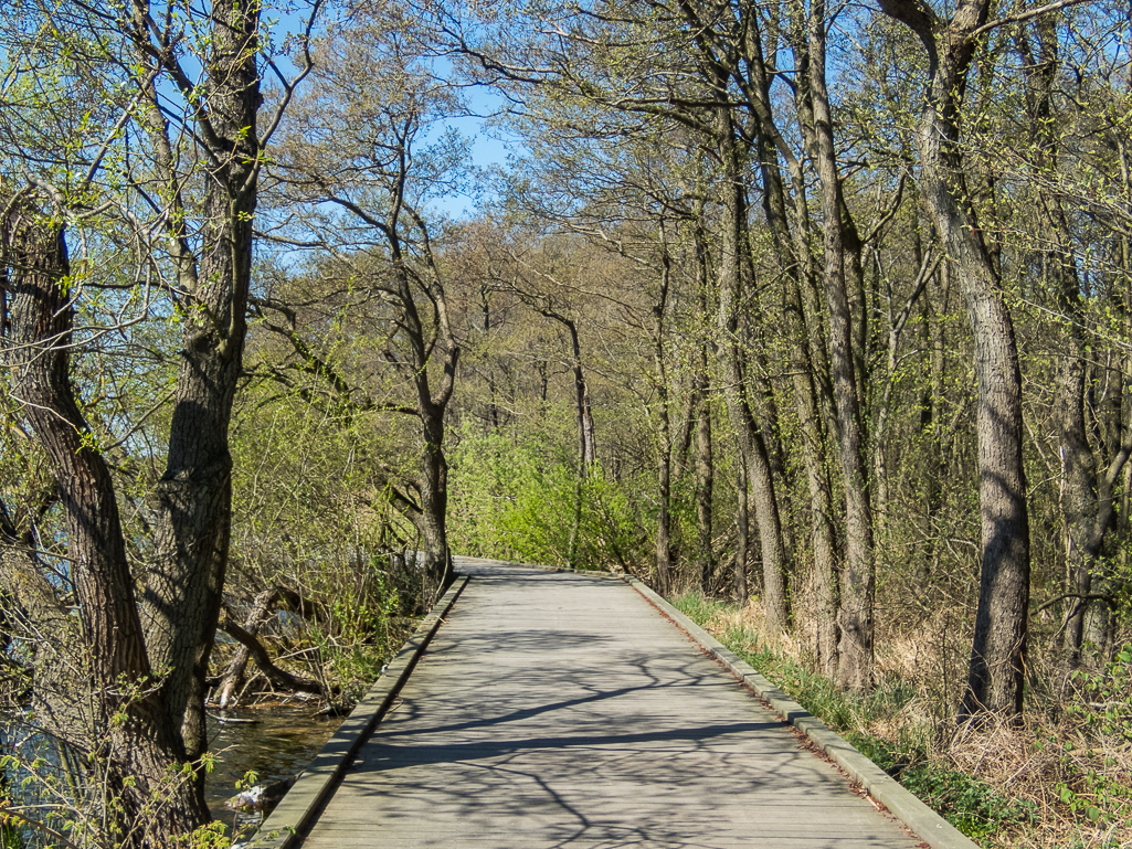 LbeMagasinet Rudersdal Marathon 2019 - Tor Rnnow