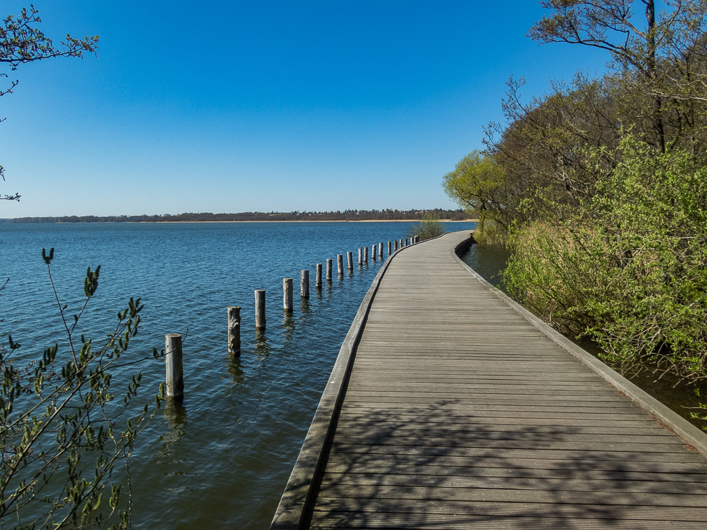 LbeMagasinet Rudersdal Marathon 2019 - Tor Rnnow