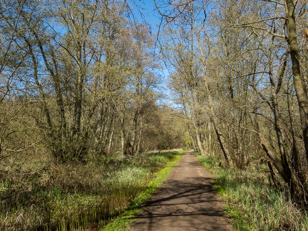 LbeMagasinet Rudersdal Marathon 2019 - Tor Rnnow