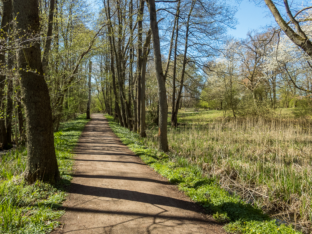 LbeMagasinet Rudersdal Marathon 2019 - Tor Rnnow