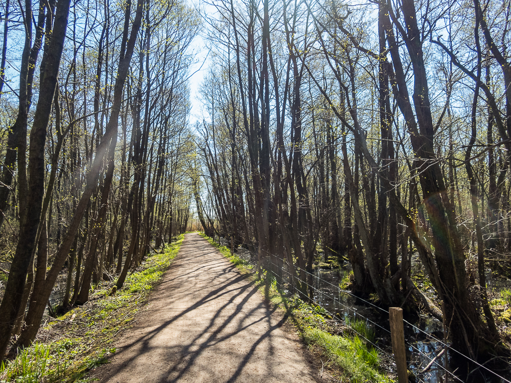 LbeMagasinet Rudersdal Marathon 2019 - Tor Rnnow