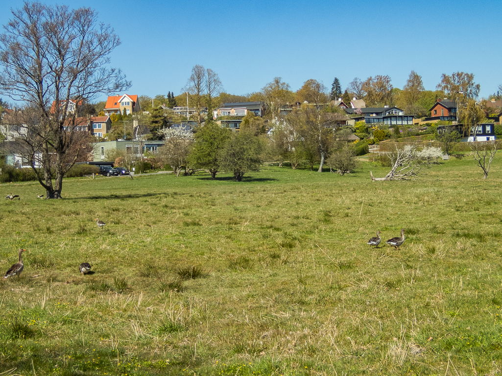 LbeMagasinet Rudersdal Marathon 2019 - Tor Rnnow