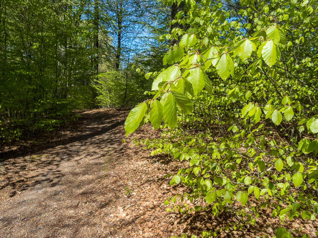 LbeMagasinet Rudersdal Marathon 2019 - Tor Rnnow