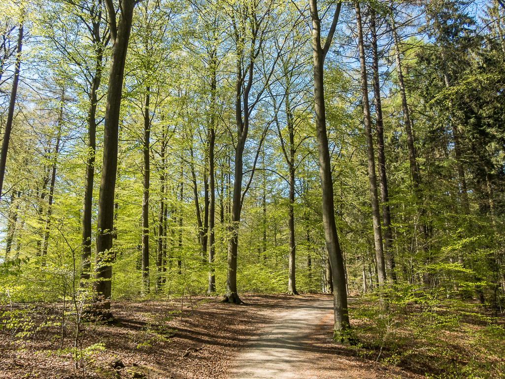 LbeMagasinet Rudersdal Marathon 2019 - Tor Rnnow