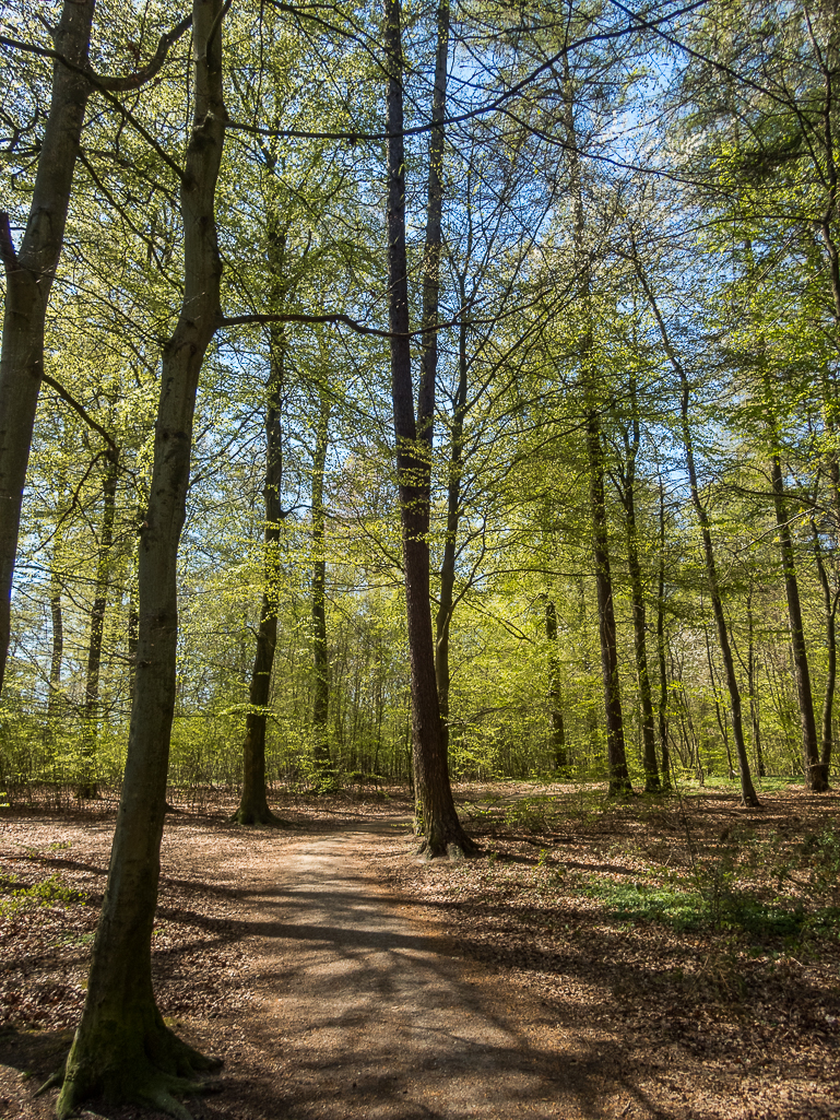 LbeMagasinet Rudersdal Marathon 2019 - Tor Rnnow