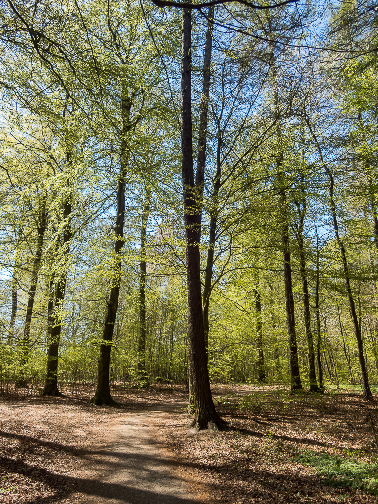 LbeMagasinet Rudersdal Marathon 2019 - Tor Rnnow