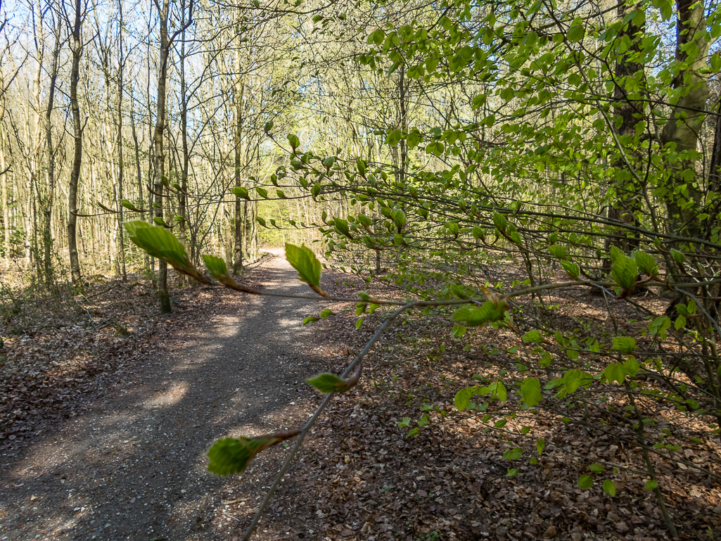 LbeMagasinet Rudersdal Marathon 2019 - Tor Rnnow