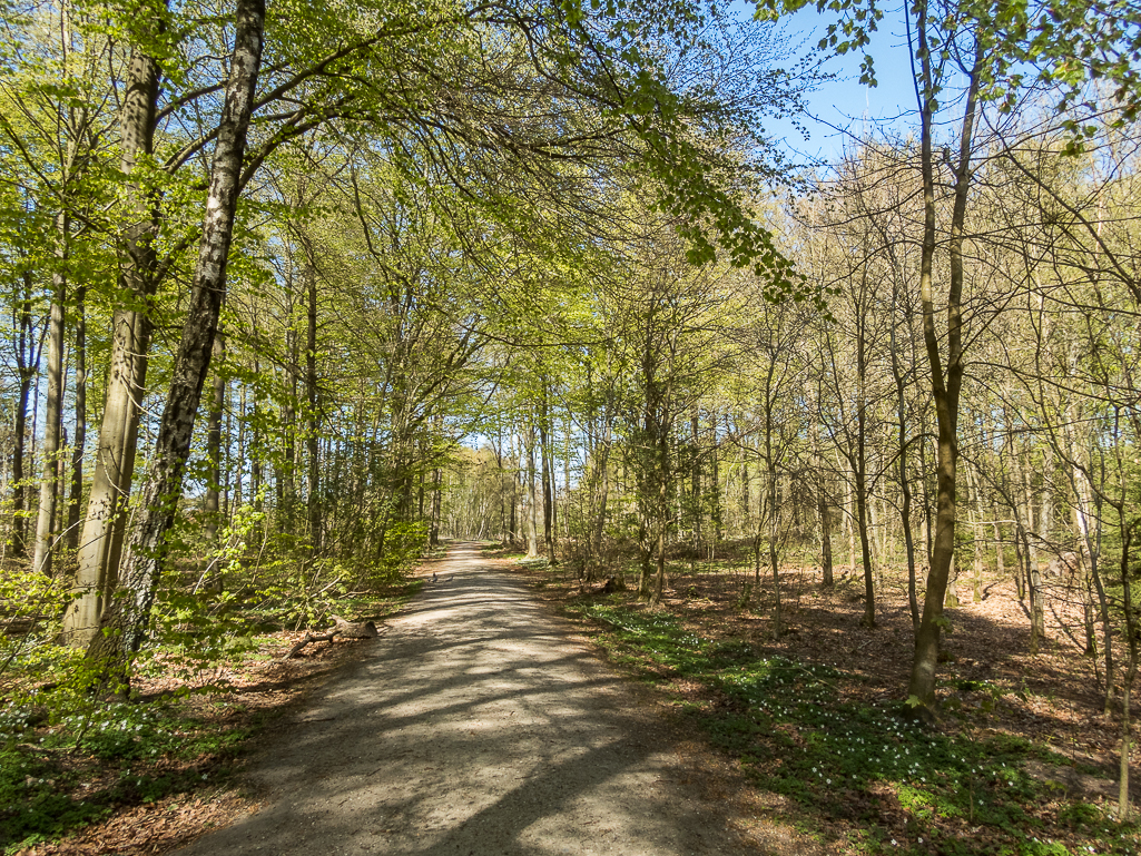 LbeMagasinet Rudersdal Marathon 2019 - Tor Rnnow