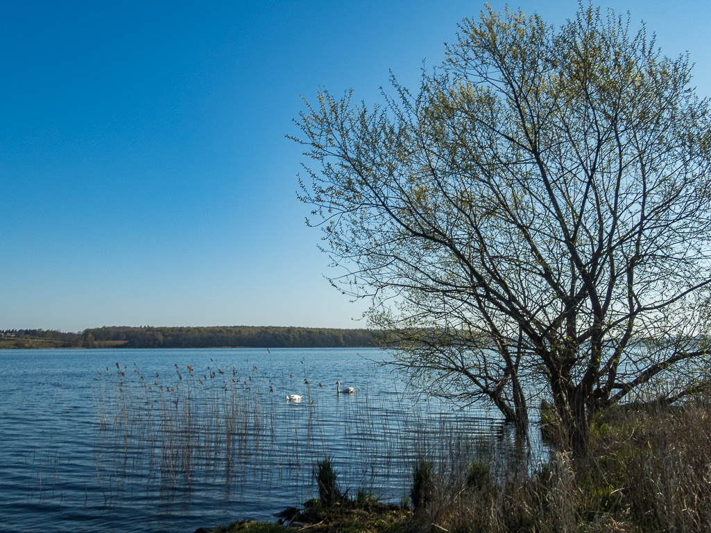 LbeMagasinet Rudersdal Marathon 2019 - Tor Rnnow