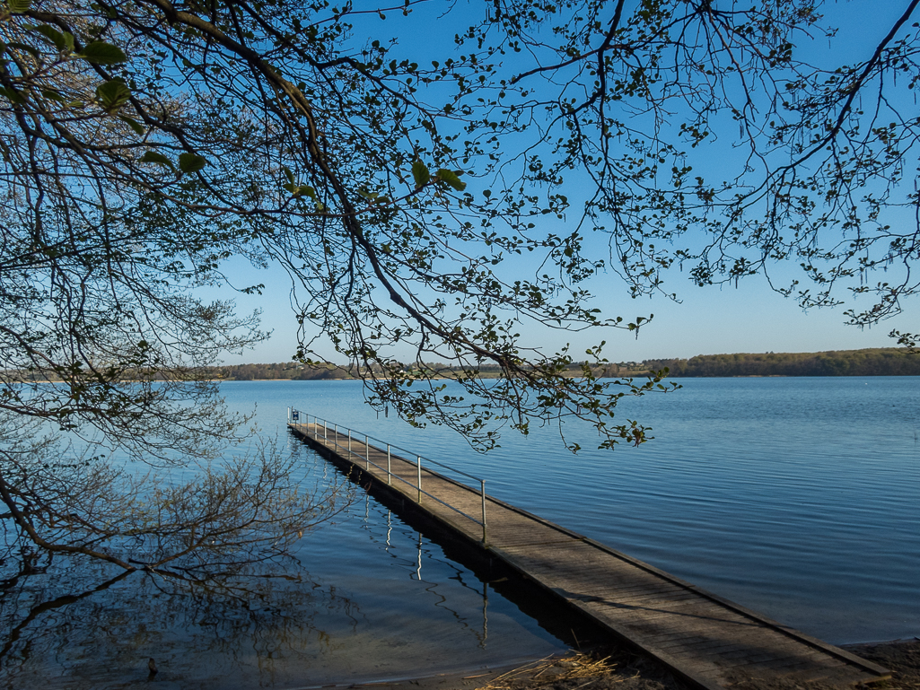 LbeMagasinet Rudersdal Marathon 2019 - Tor Rnnow