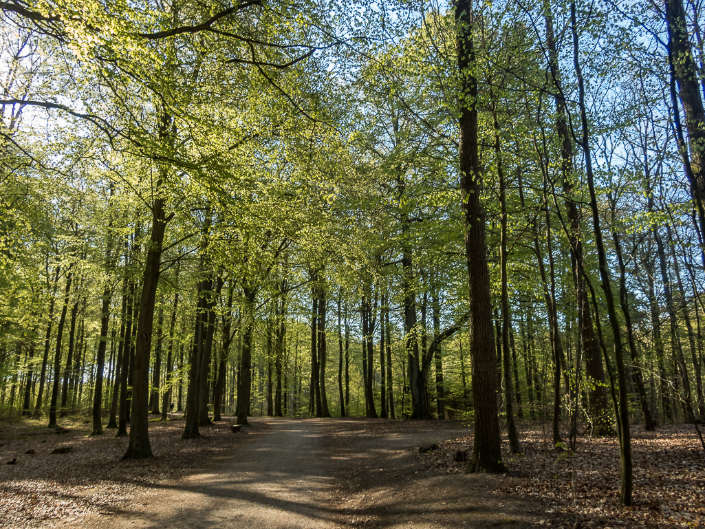 LbeMagasinet Rudersdal Marathon 2019 - Tor Rnnow