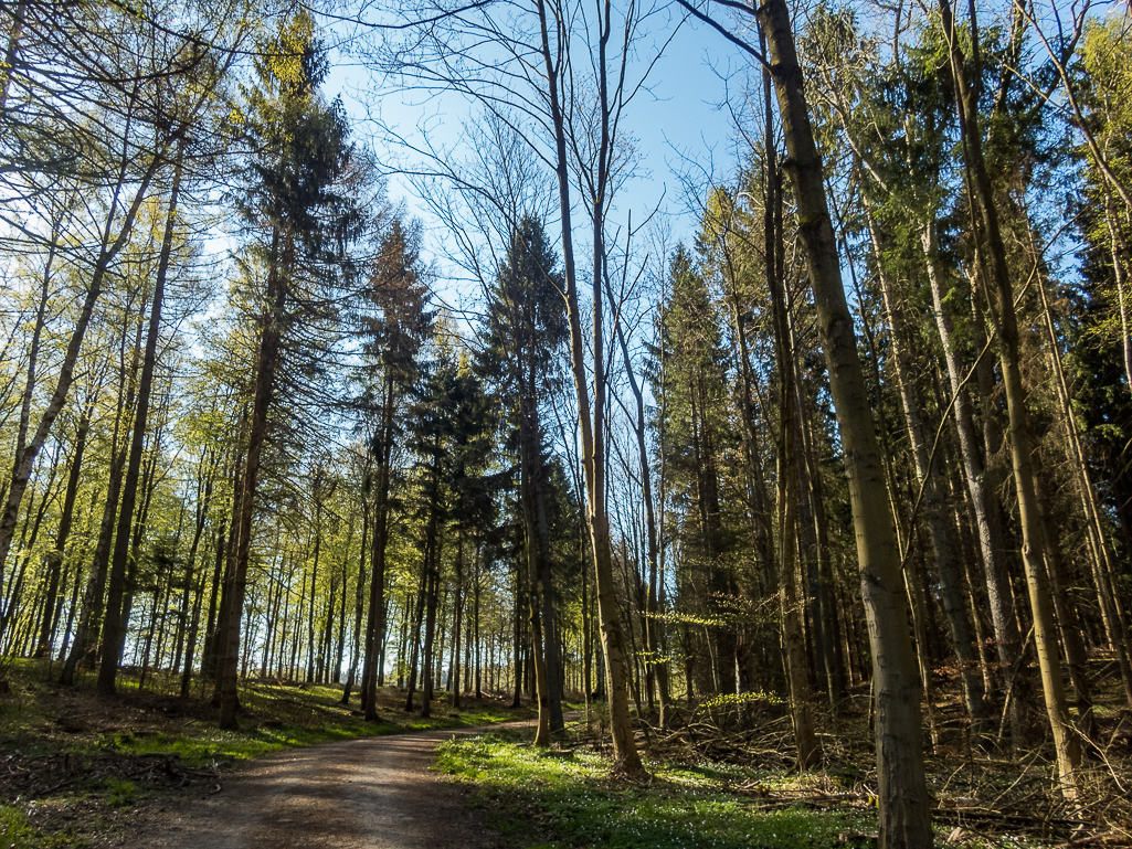 LbeMagasinet Rudersdal Marathon 2019 - Tor Rnnow