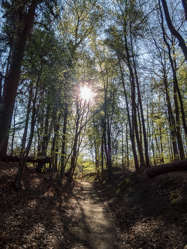 LbeMagasinet Rudersdal Marathon 2019 - Tor Rnnow