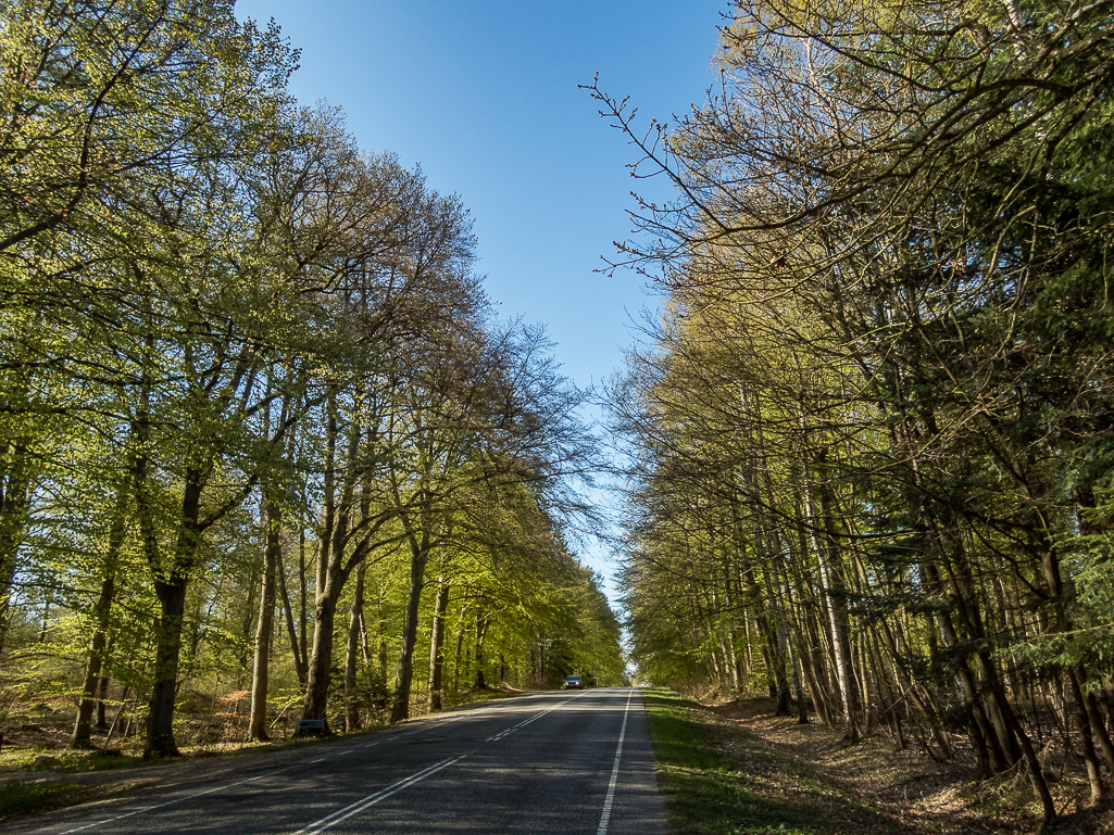 LbeMagasinet Rudersdal Marathon 2019 - Tor Rnnow