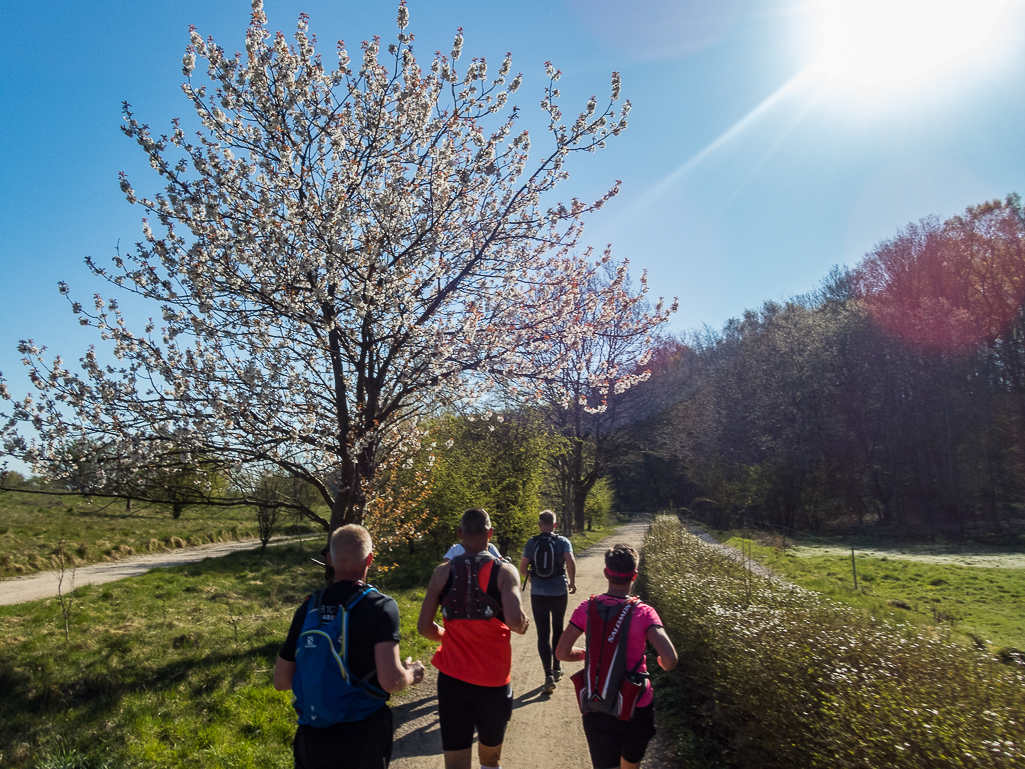 LbeMagasinet Rudersdal Marathon 2019 - Tor Rnnow