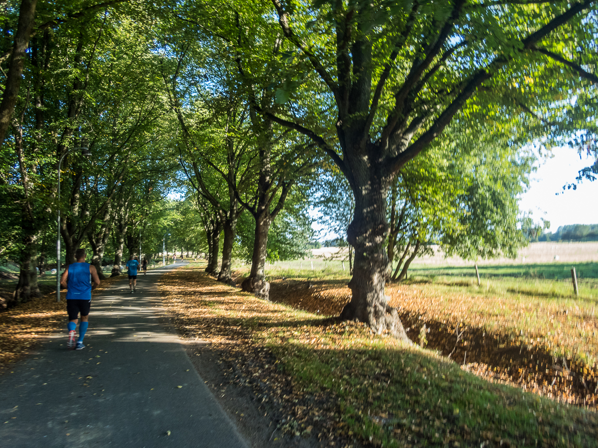 VESTVOLDSMARATHON 24-august-2019 - Tor Rnnow