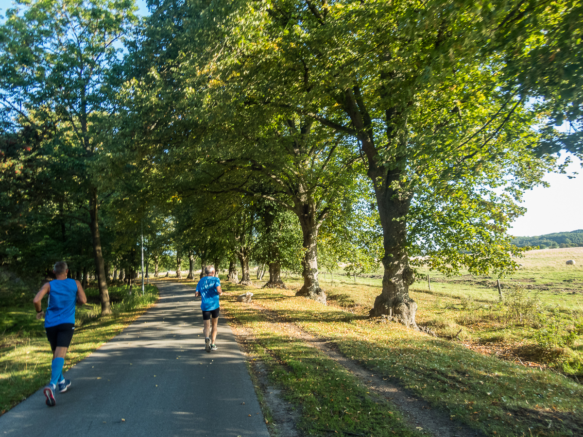 VESTVOLDSMARATHON 24-august-2019 - Tor Rnnow