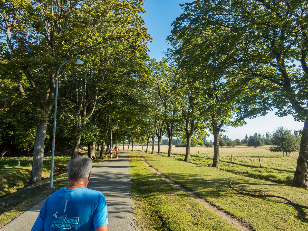 VESTVOLDSMARATHON 24-august-2019 - Tor Rnnow